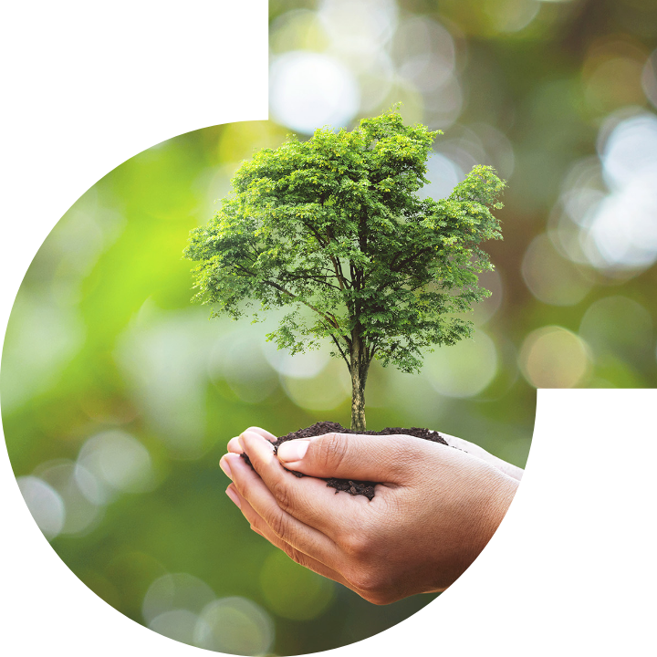 关怀人类、文化、环境与社会